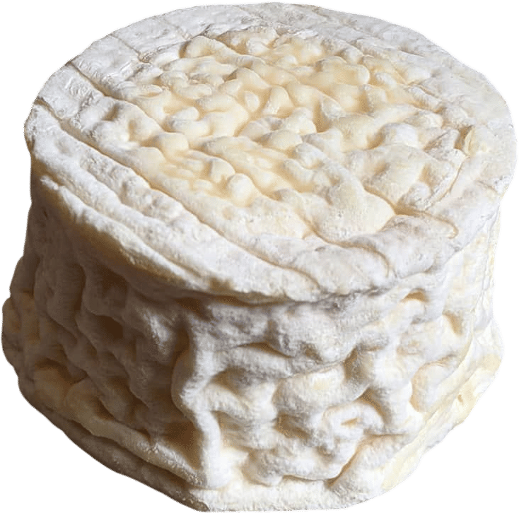 La Tur