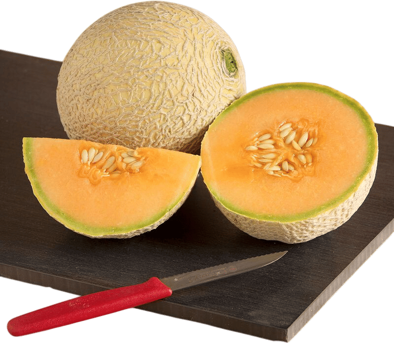 Sugar cube cantaloupe