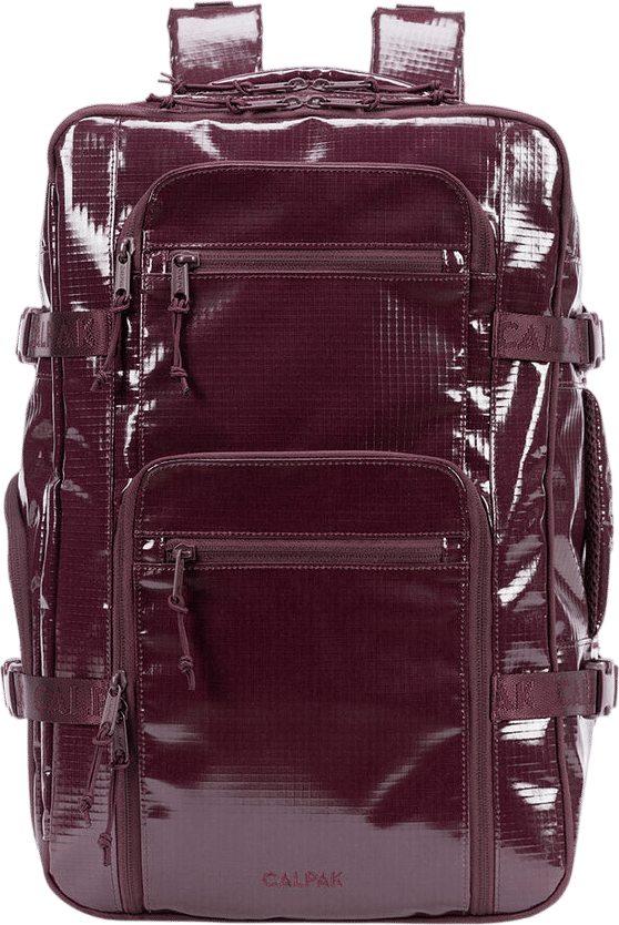 CALPAK Terra 26L Laptop Duffel Backpack