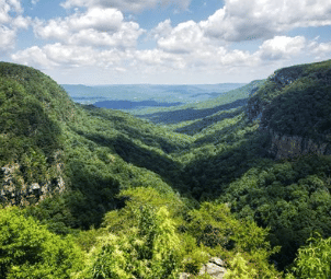 Cloudland Canyon State Park