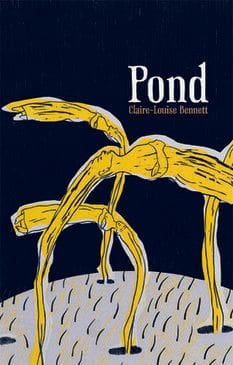 pond by Claire louise bennett