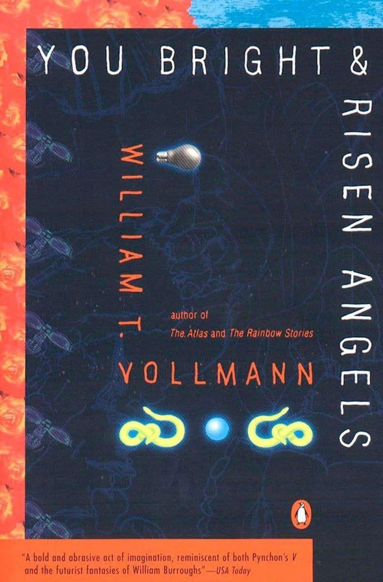 You Bright and Risen Angels - William Vollmann