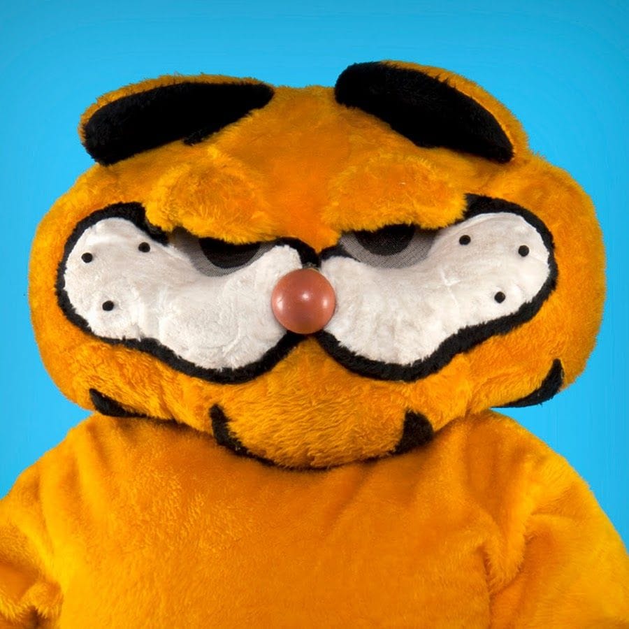 Lasagna Cat