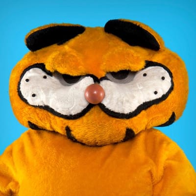 Lasagna Cat