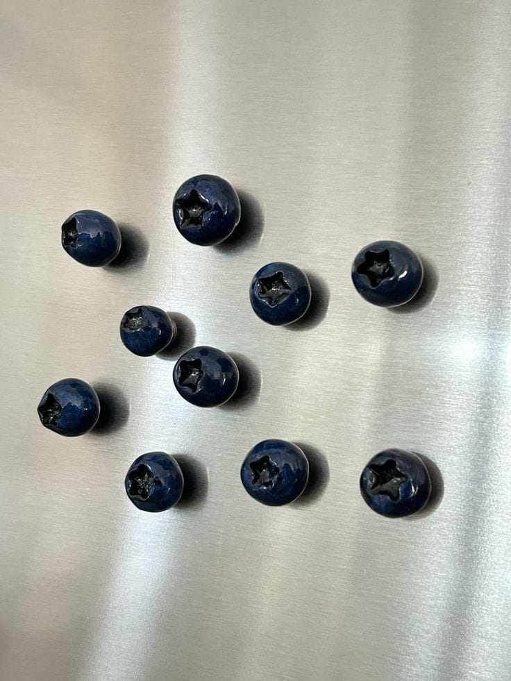 Blueberry magnets