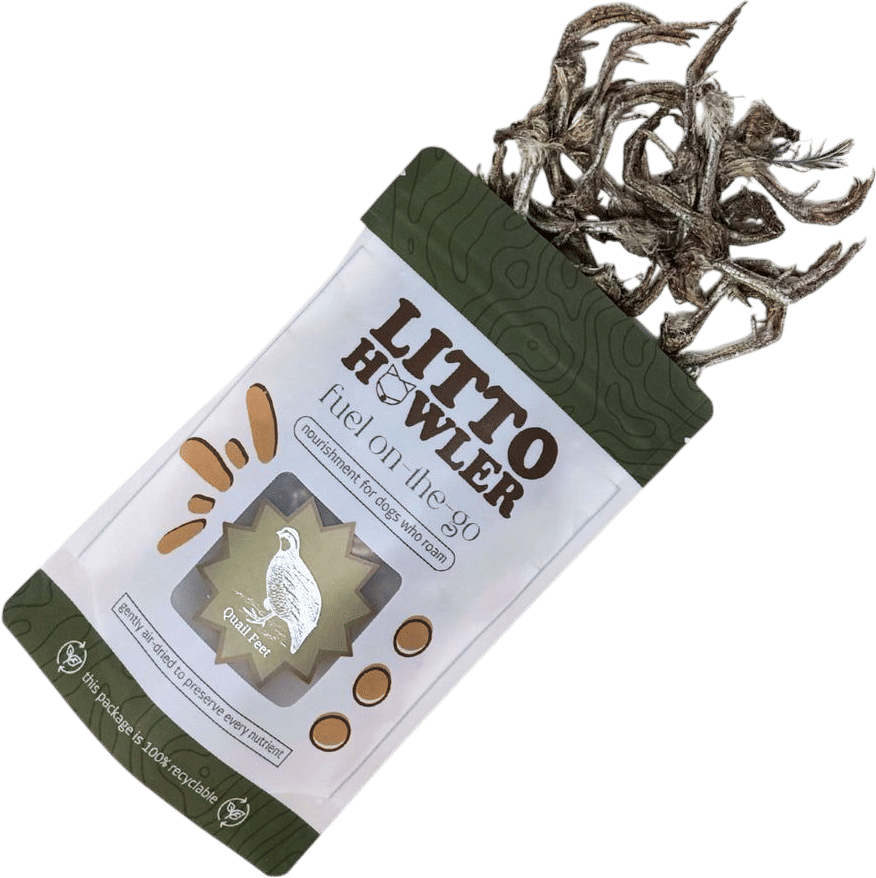 litto howler quail feet