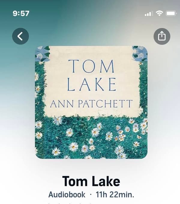 Tom Lake narrated by Meryl Streep! She gives it such humour and I swear you can hear the summer in her voice.