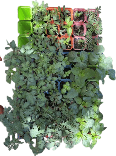Seed Savers Exchange Mailing List