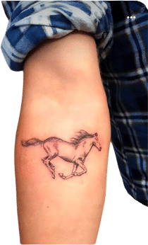 horse