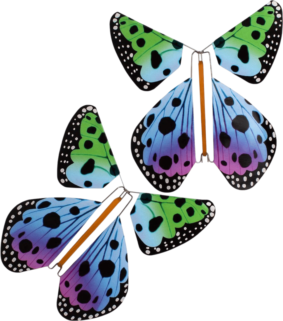 Dotty Magic Butterfly
