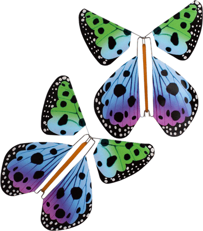Dotty Magic Butterfly