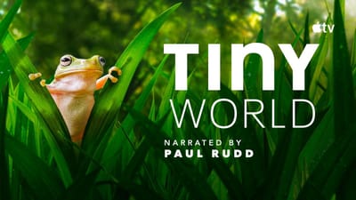 Tiny World