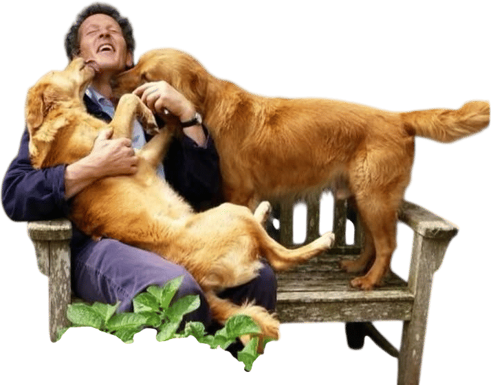 Monty Don and his dogs