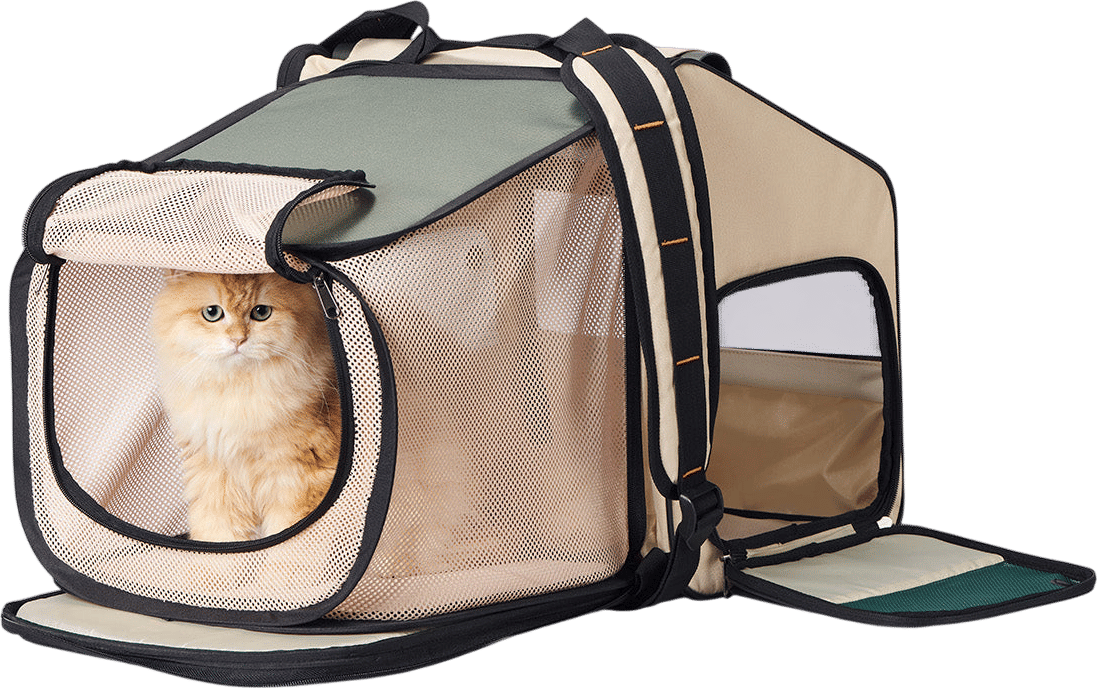 Pidan expandable backpack carrier