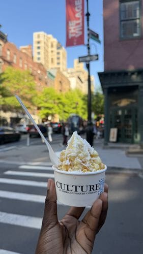 Culture Yogurt (West Village)