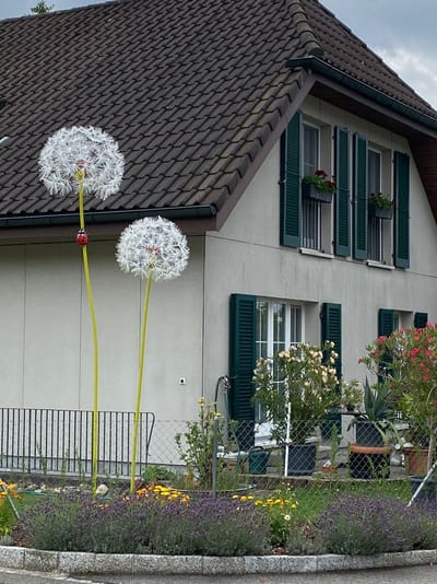 XXL Flowers