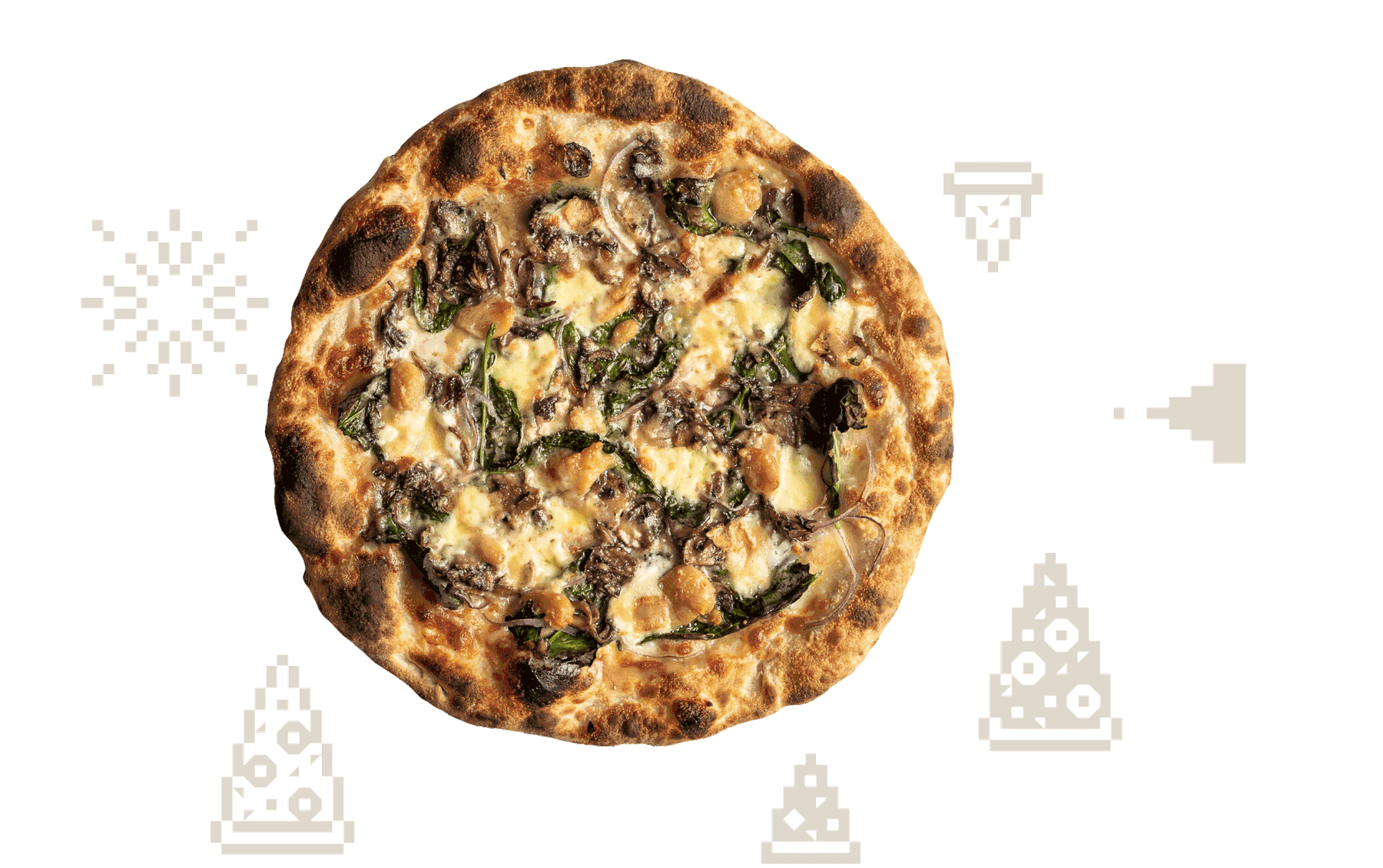 Flour and Water Pizza Shop