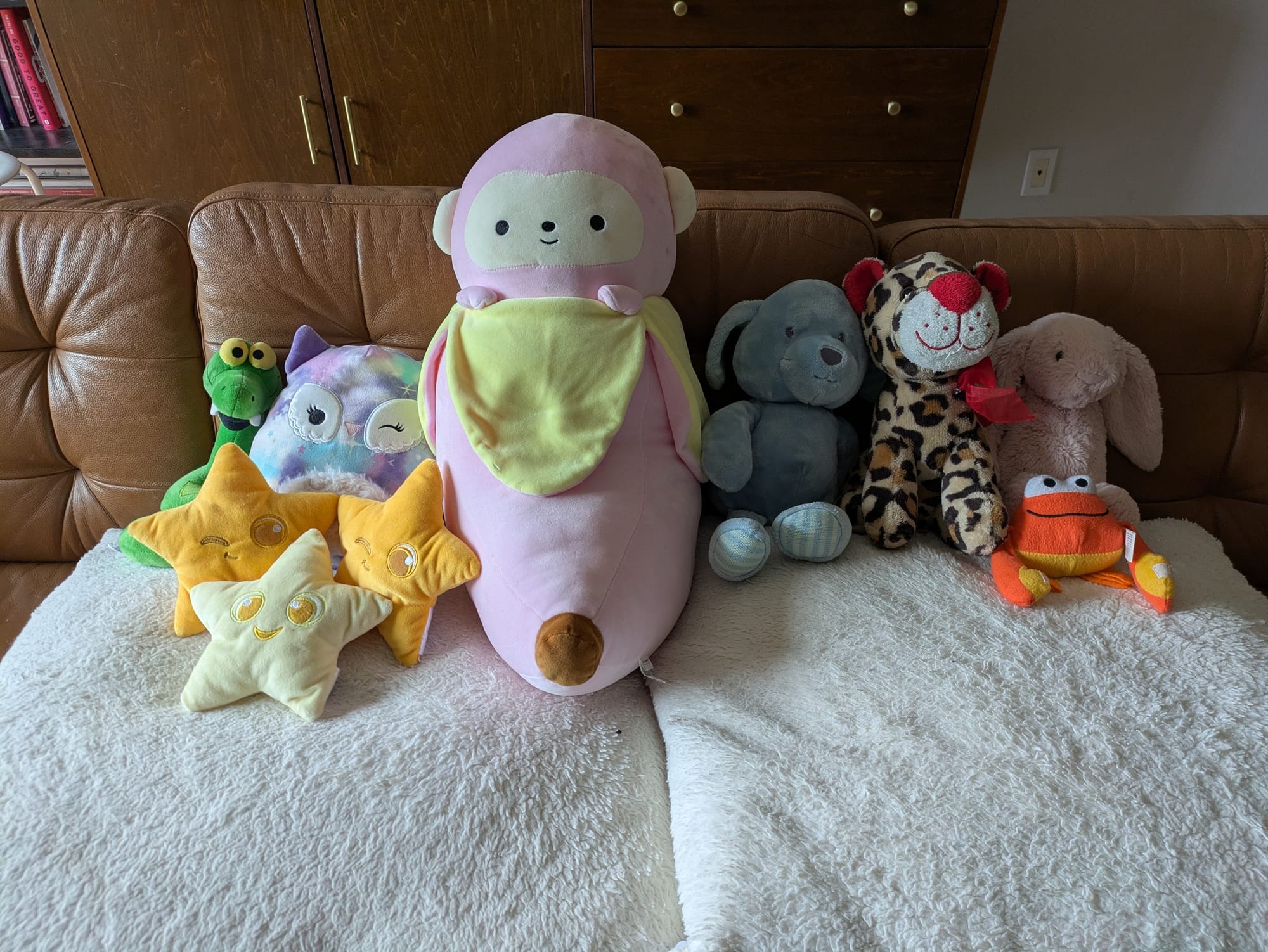 Stuffy squad photos