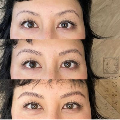 Plume Brows