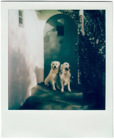 Polaroid Instant Cameras