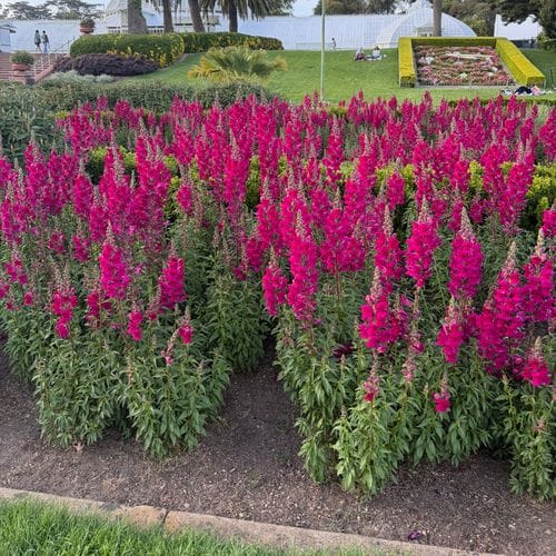 Things that make my life better