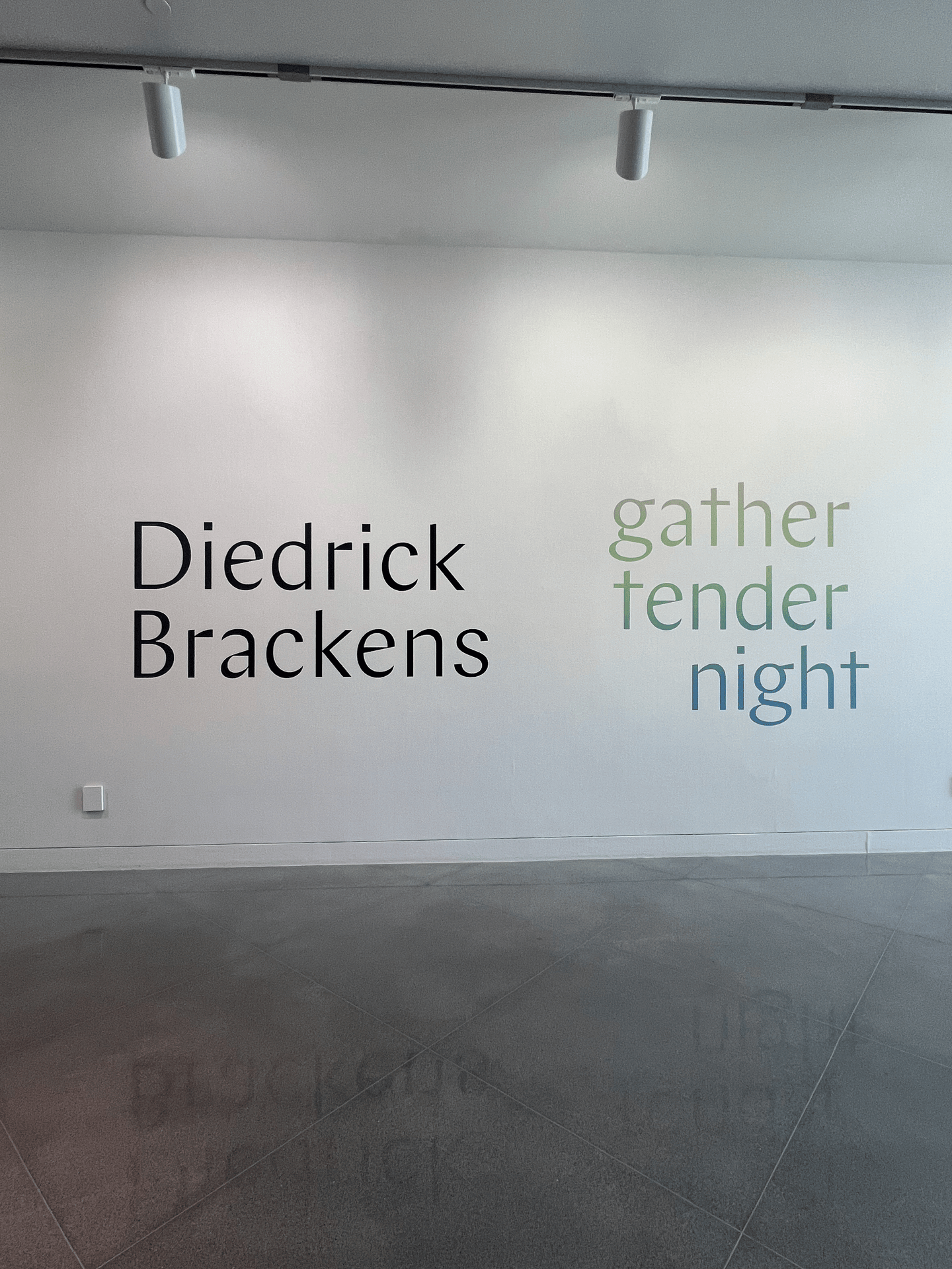 Diedrick Brackens: gather tender night @YBCA