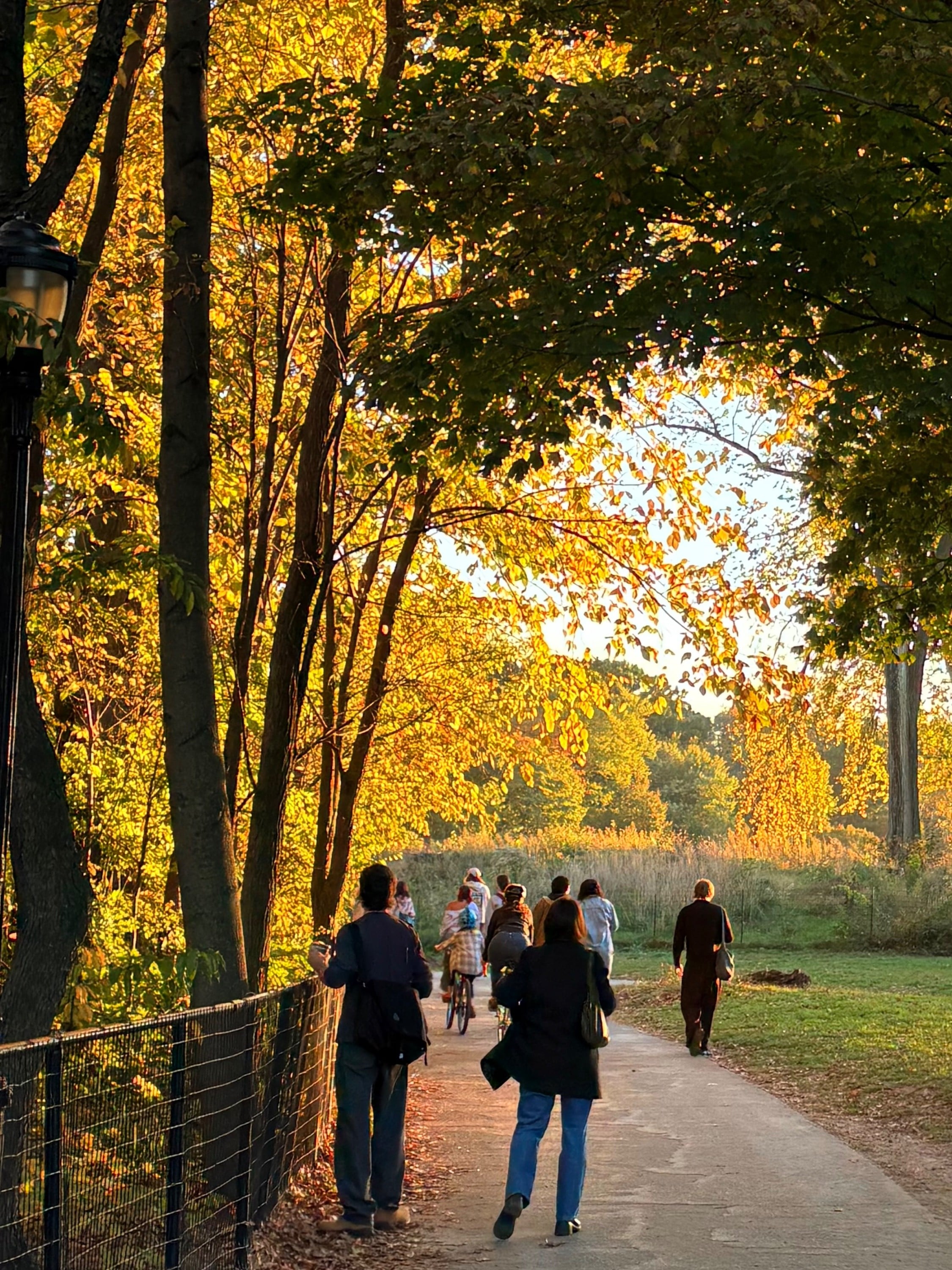 Autumn in Prospect Park