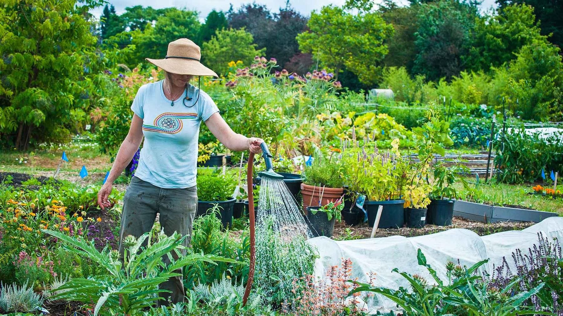 OSU Home & Garden Extension Service