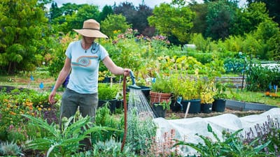 OSU Home & Garden Extension Service