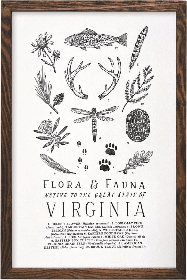 The Wild Wander Field Guide Print