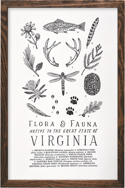 Field Guide Prints