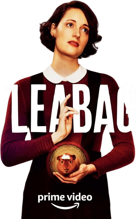 Fleabag (TV Series 2016–2019)