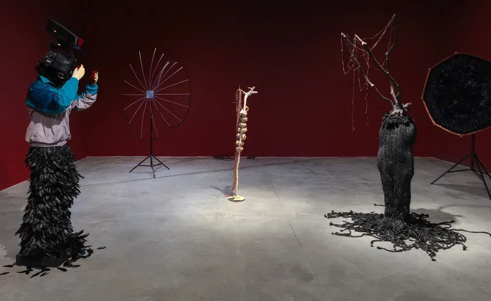 Lim Minouk installation