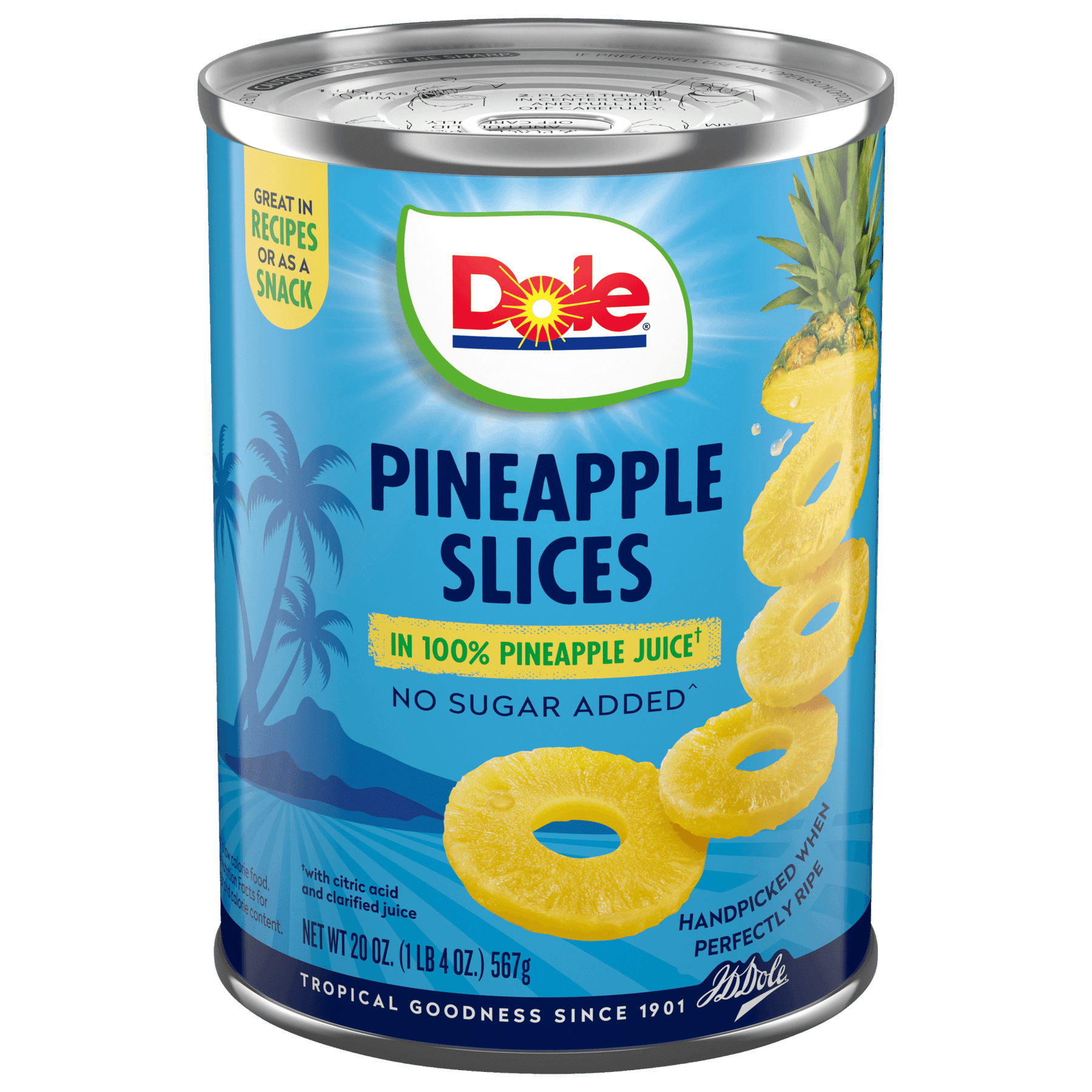 Canned Pineapple Slices