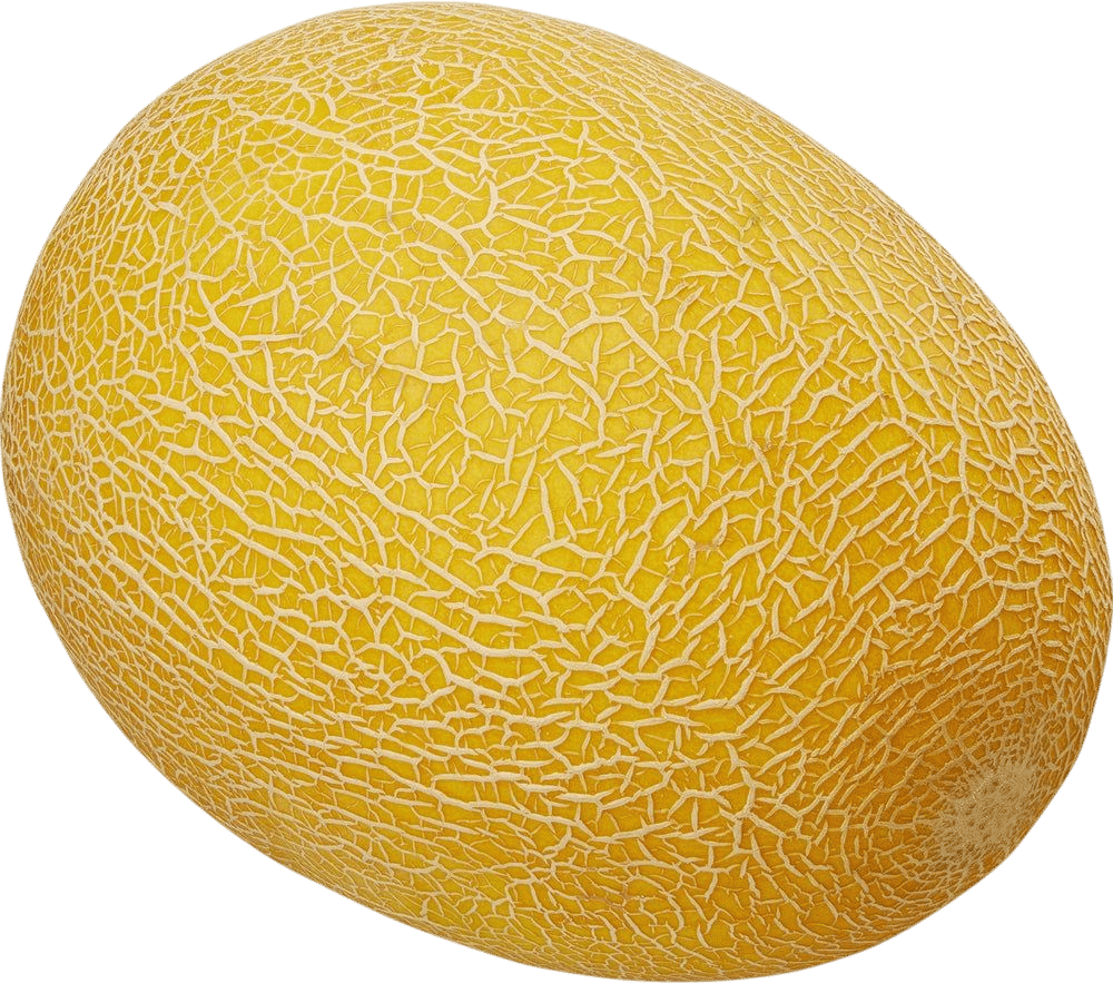 Golden Hami Melon