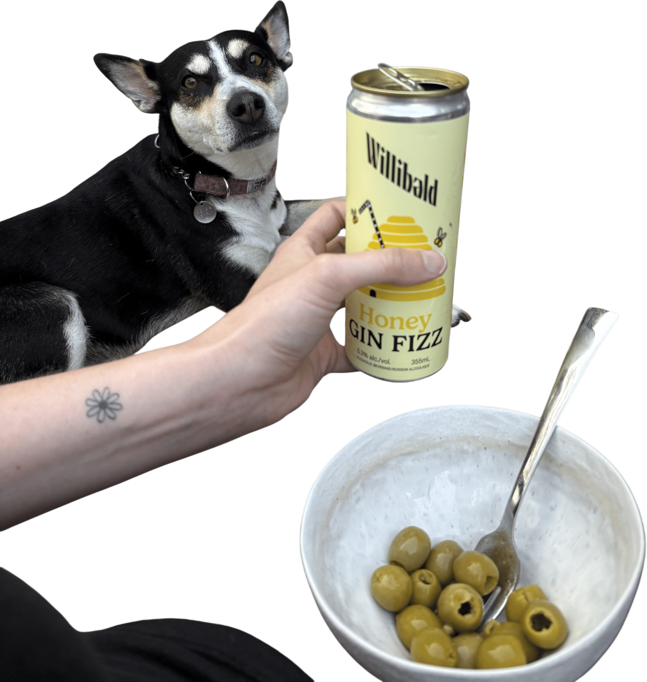 Willibald Honey Gin Fizz