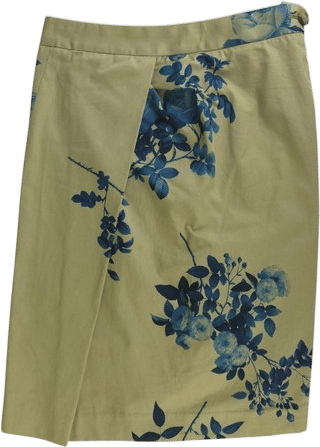 Anglomania Beige Blue Floral Print Cotton Skirt