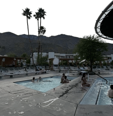 Swim Club - Palm Springs