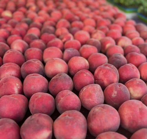 Mar Vista Farmers Market