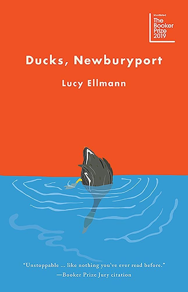 Ducks, Newburyport by Lucy Ellmann (2019)