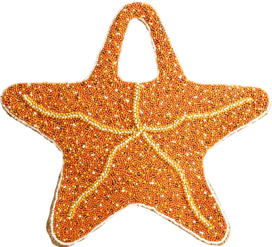 Beaded Starfish Bag