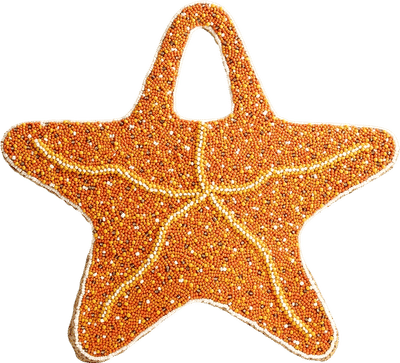 Beaded Starfish Bag
