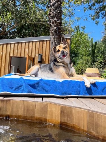 Fynn is my boss. I serve at her pleasure.