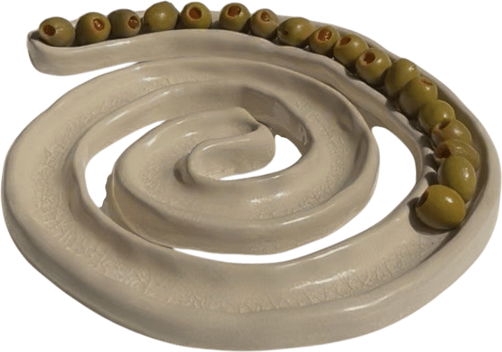 spiral olive dish