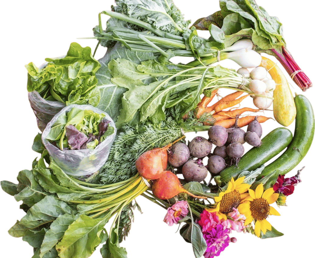 Providence Farm Collective