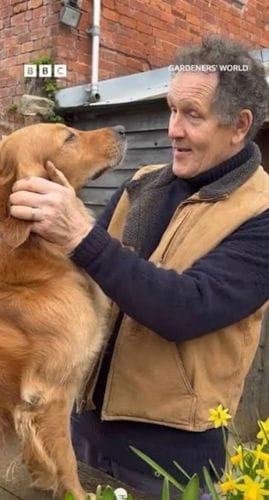 Monty and Ned’s relationship on BBC Gardening World