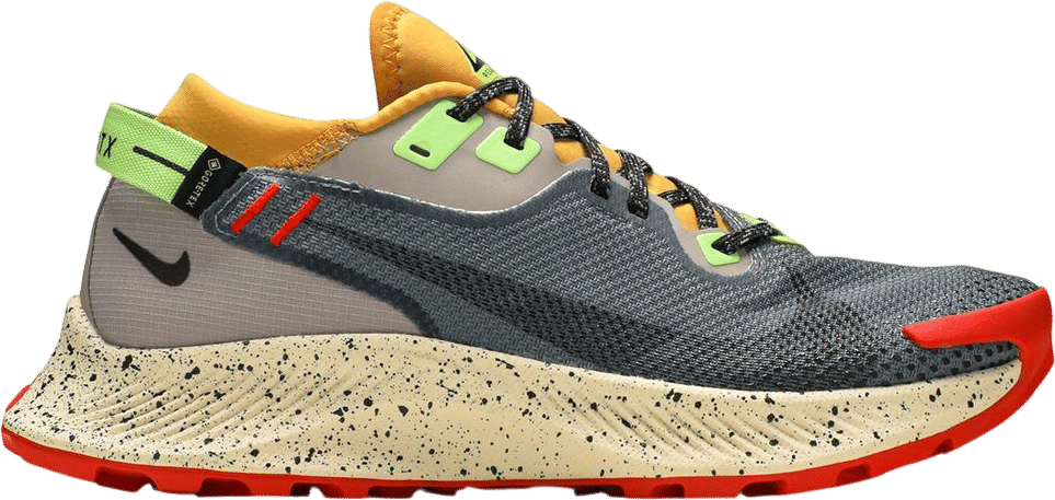 Nike Pegasus Trail 2 GTX 'Smoke Grey Bucktan'