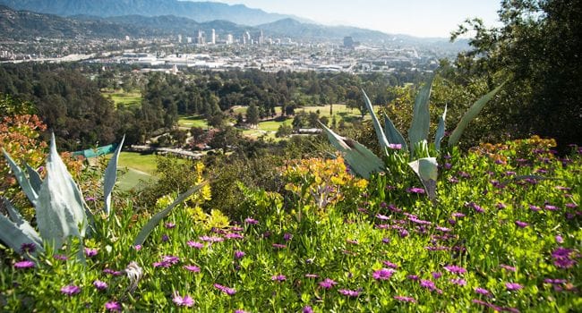 Members-Only Recommendation