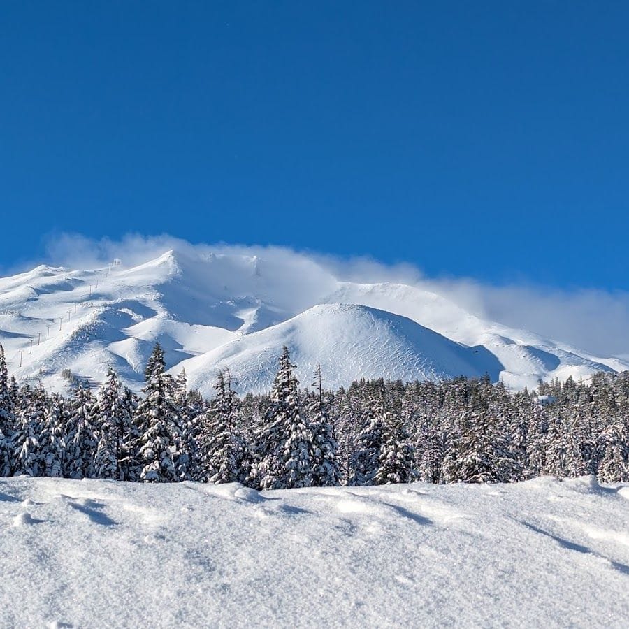 Members-Only Recommendation