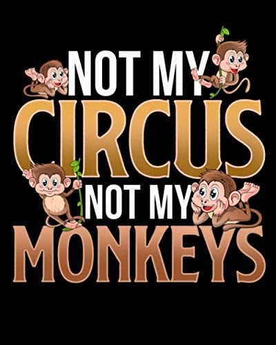 Mantra: “not my circus, not my monkeys”